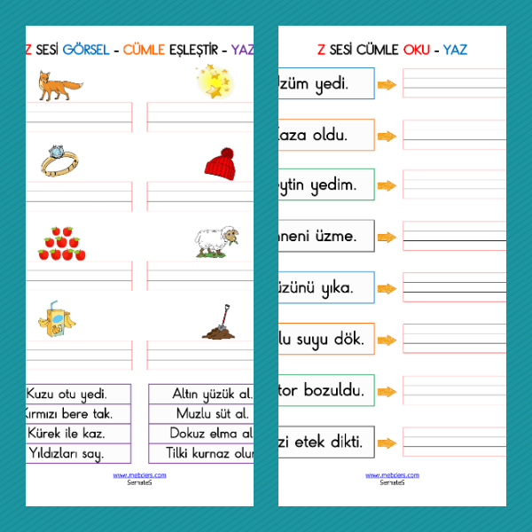 1. Sınıf İlkokuma Yazma - Z Sesi Cümle Etkinliği