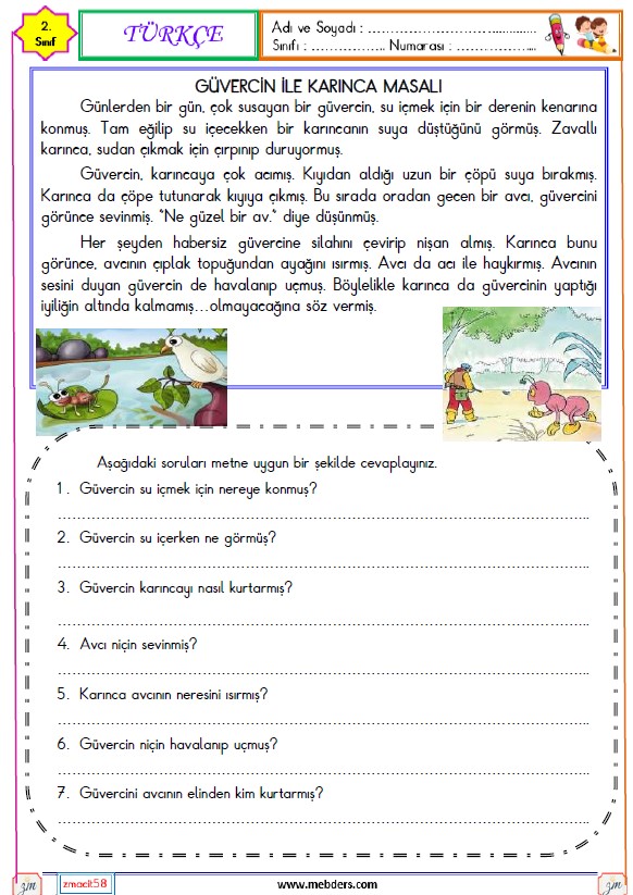 2. Sınıf Türkçe Okuma ve Anlama Etkinliği (Güvercin ile Karınca)