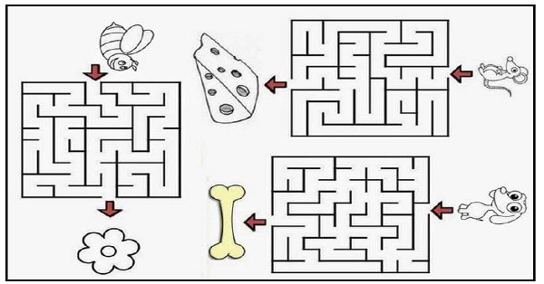Seviye 1 - Labirent Bulmaca Etkinliği 27