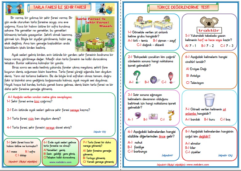 1.Sınıf Türkçe Tarla Faresi ile Şehir Faresi Değerlendirme Çalışması 11