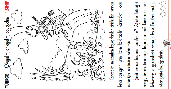 1. Sınıf Türkçe Oku - Anla - Boya -24