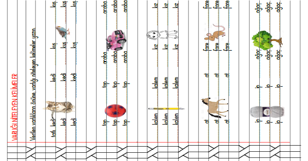3.Sınıf - Türkçe Varlığı Niteleyen Kelimeler Çalışması
