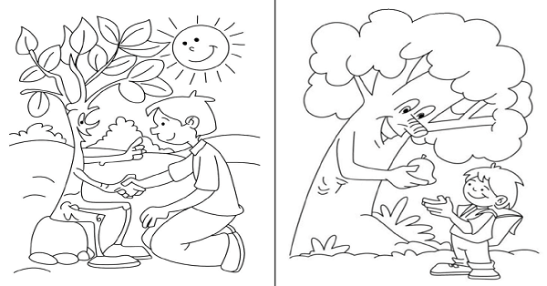 Orman Haftası Boya Etkinlikleri (4 Sayfa)