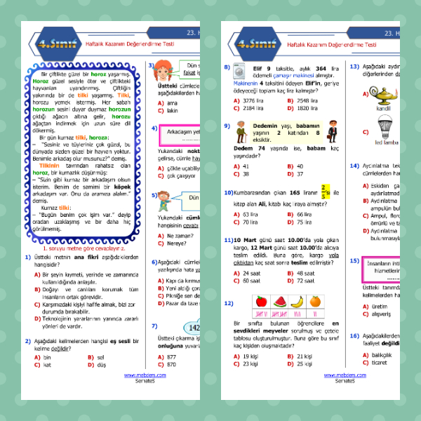 4. Sınıf Haftalık Değerlendirme Testi - 23. Hafta