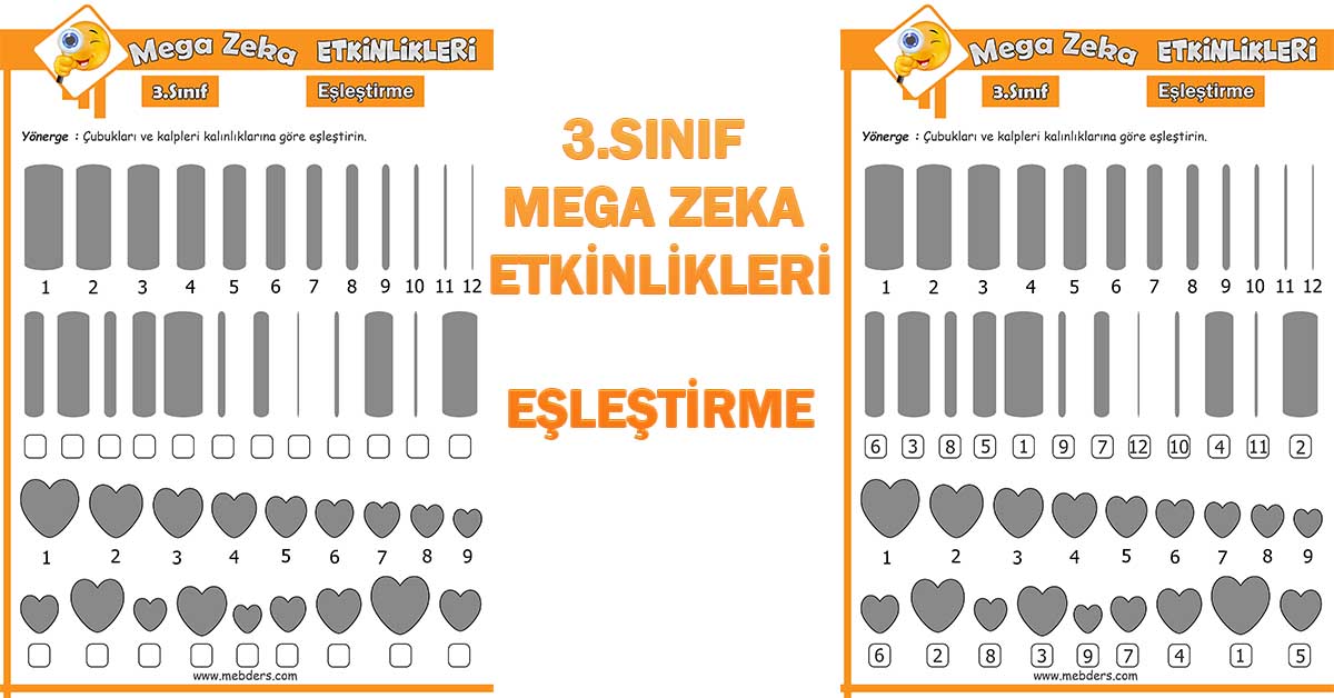 3.Sınıf Mega Zeka Etkinliği - Eşleştirme