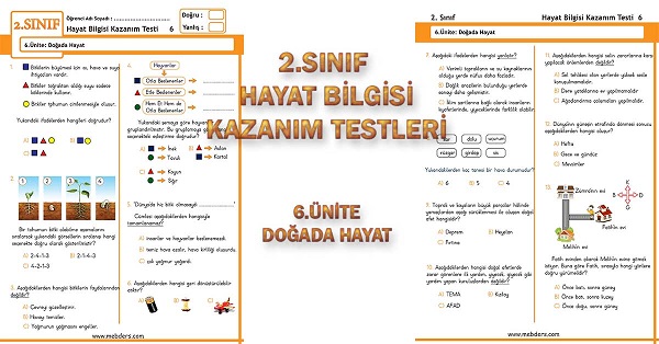 2.Sınıf Hayat Bilgisi Kazanım Testi - 6.Ünite - Doğada Hayat