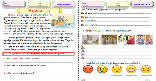 1.Sınıf Türkçe Okuma Anlama (Yaramaz Efe) Metni
