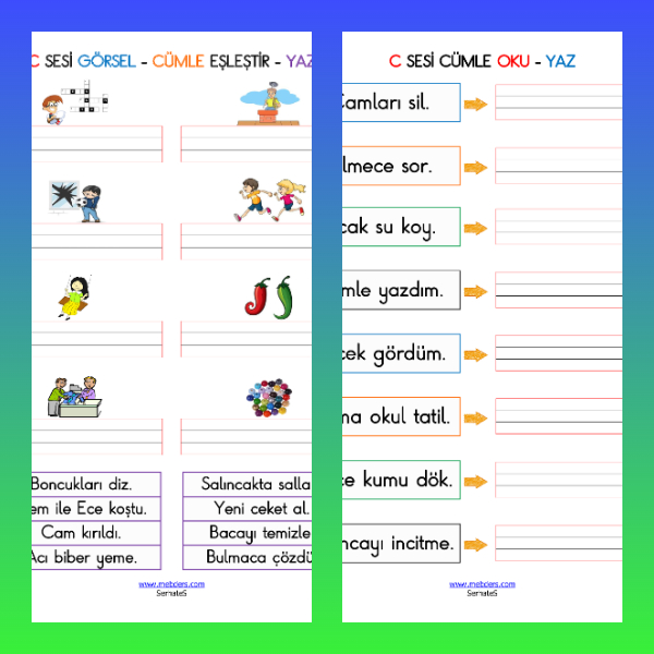 1. Sınıf İlkokuma Yazma - C Sesi Cümle Etkinliği