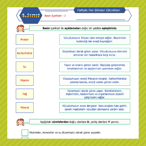 4. Sınıf Fen Bilimleri - Besin İçerikleri Etkinliği - 2