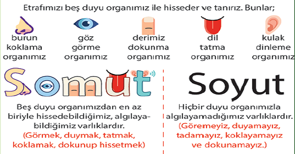 4.Sınıf Türkçe Oluşlarına Göre Adlar (Somut-Soyut)