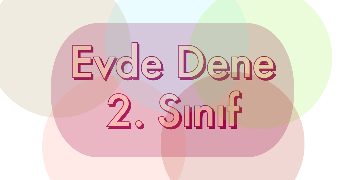 2. Sınıf Deneme Sınavı (Evde Dene! 30 soru)