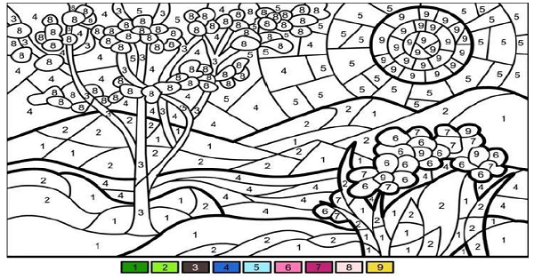 Boyama Çalışması (Sayılara Göre Renklendirme) 2