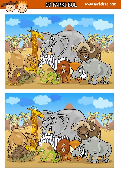 Afrika hayvanları arasındaki 10 farkı bulma etkinliği
