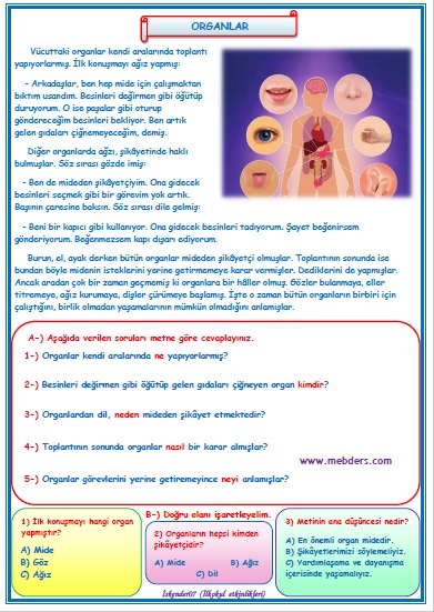 2.Sınıf Türkçe Organlar  Okuma Anlama Metin Çalışması  30