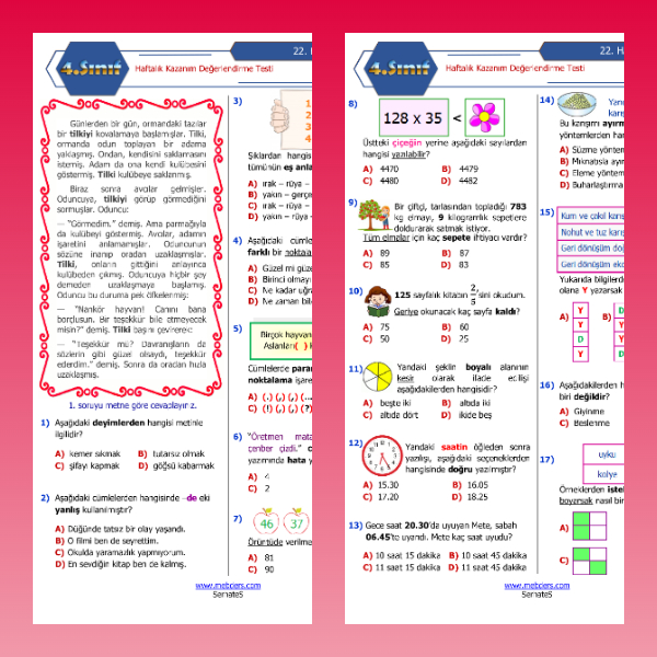 4. Sınıf Haftalık Değerlendirme Testi - 22. Hafta