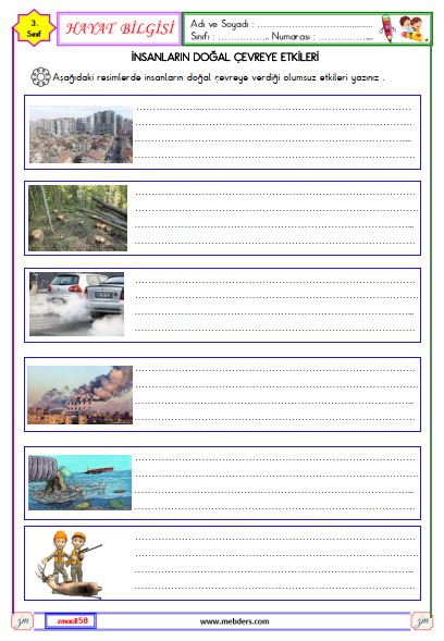 3. Sınıf Hayat Bilgisi İnsanların Doğal Çevreye Etkileri Etkinliği