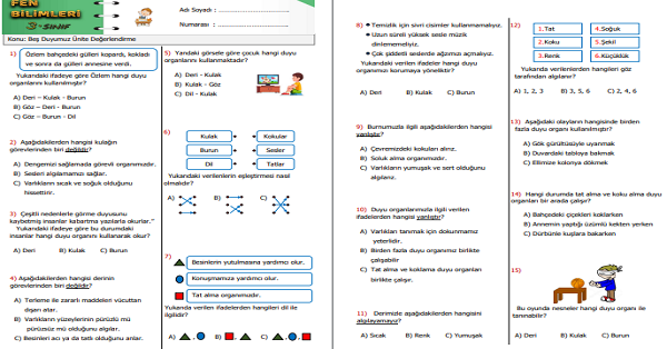 3.Sınıf Fen Bilimleri Beş Duyumuz Ünite Değerlendirme Etkinliği 2