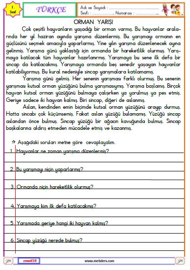 1. Sınıf Türkçe Okuma ve Anlama Metni Etkinliği (Orman Yarışı)