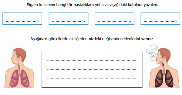 4.Sınıf Fen Bilimleri Sigara ve Alkolün Zararları Etkinliği