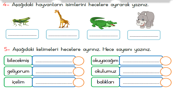 1.Sınıf Türkçe Hece Okuma Anlama (Hayvanat Bahçesi) Metni
