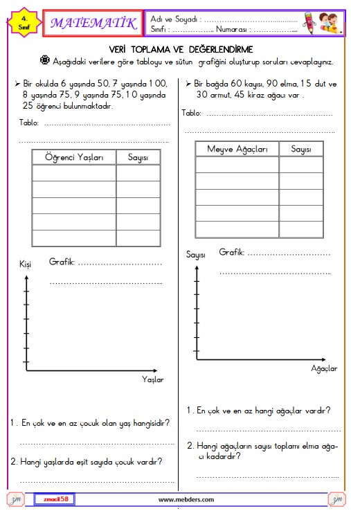 4. Sınıf Matematik Veri Toplama ve Değerlendirme Etkinliği 10