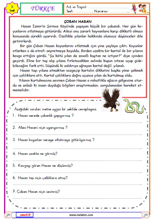 3. Sınıf Türkçe Okuma ve Anlama Etkinliği ( Çoban Hasan )