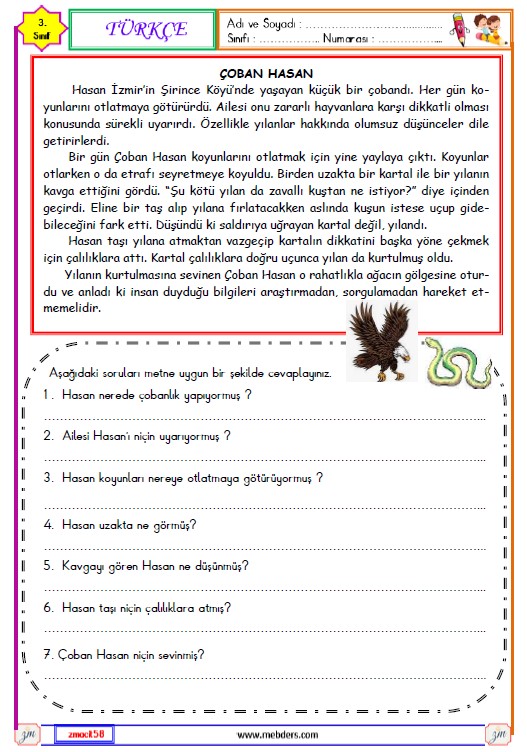 3. Sınıf Türkçe Okuma ve Anlama Etkinliği ( Çoban Hasan )