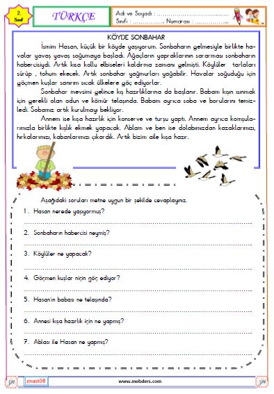 2. Sınıf Türkçe Okuma ve Anlama Metni Etkinliği (Sonbahar)