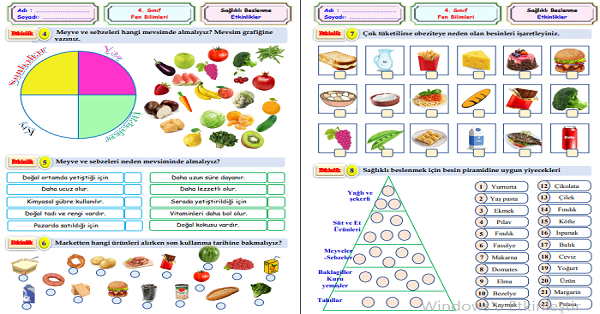 4.Sınıf Fen Bilimleri Dengeli ve Sağlıklı Beslenme Etkinliği