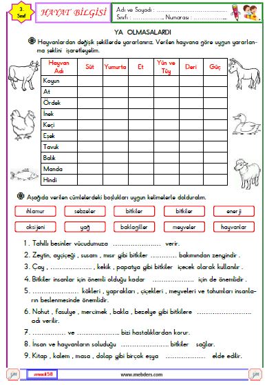 3. Sınıf Hayat Bilgisi Hayvanların ve Bitkilerin Önemi Etkinliği