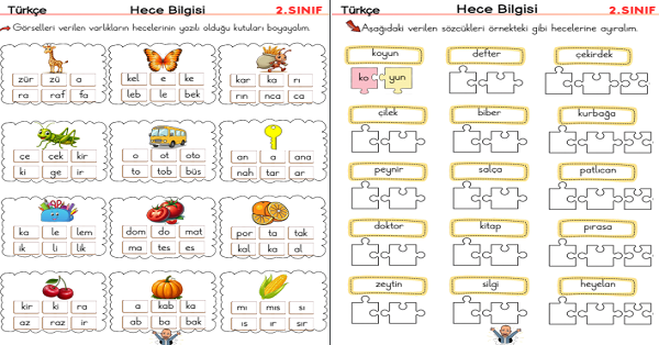 2. Sınıf Türkçe Hece Bilgisi ( 7 Sayfa )