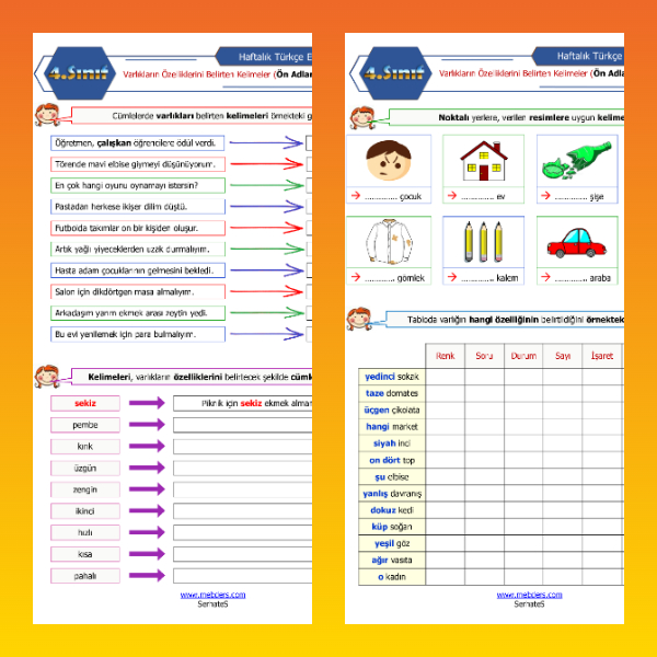 4. Sınıf Türkçe - Varlıkların Özelliklerini Belirten Kelimeler (Ön Adlar) Etkinliği - 2