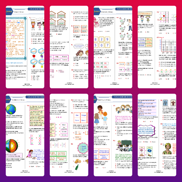 3. Sınıf Aralık Ayı Denemesi (PDF)