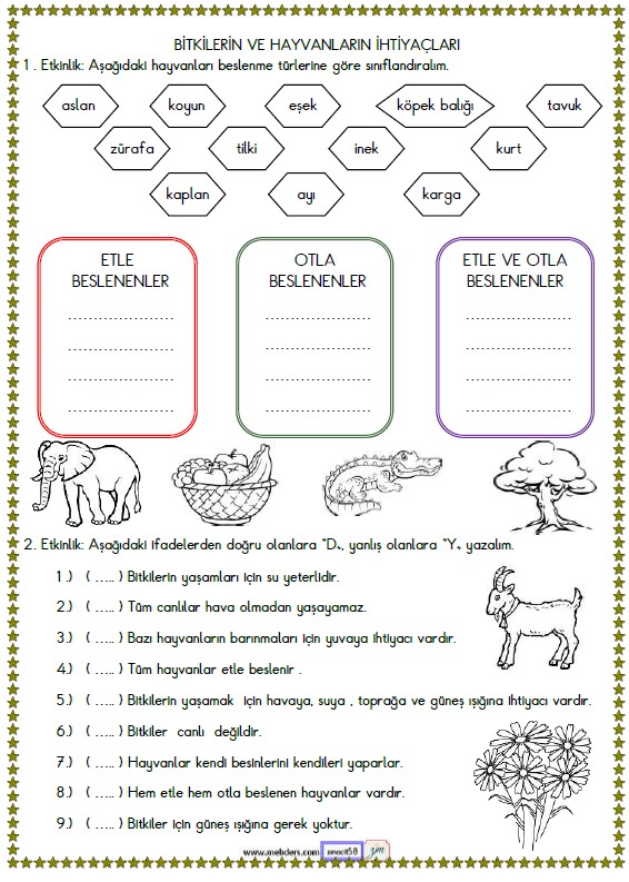 2. Sınıf Hayat Bilgisi Bitkilerin ve Hayvanların İhtiyaçları Etkinliği