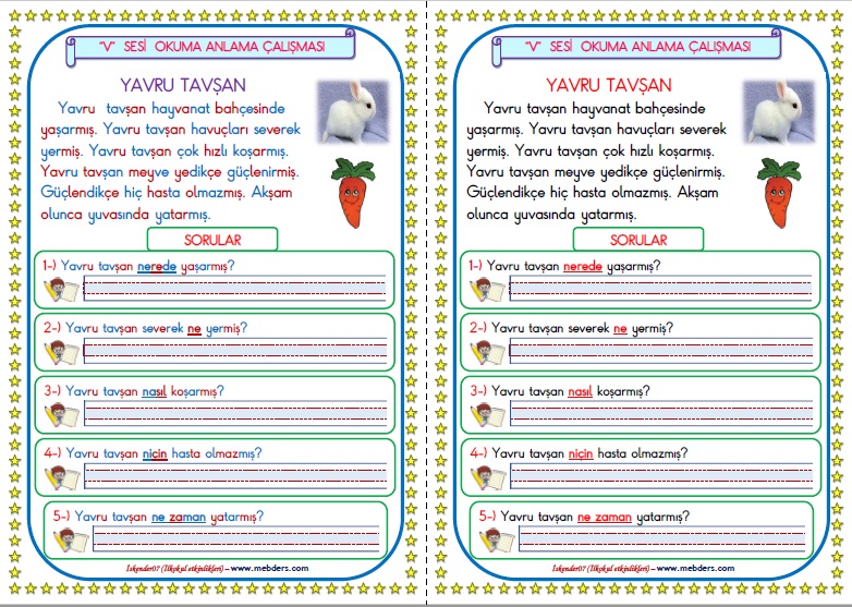 1.Sınıf V-v Sesi Okuma Anlama Metin Çalışması   (2 Sayfa)