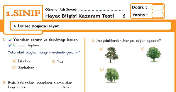 1.Sınıf Hayat Bilgisi Kazanım Testi - 6.Ünite - Doğada Hayat