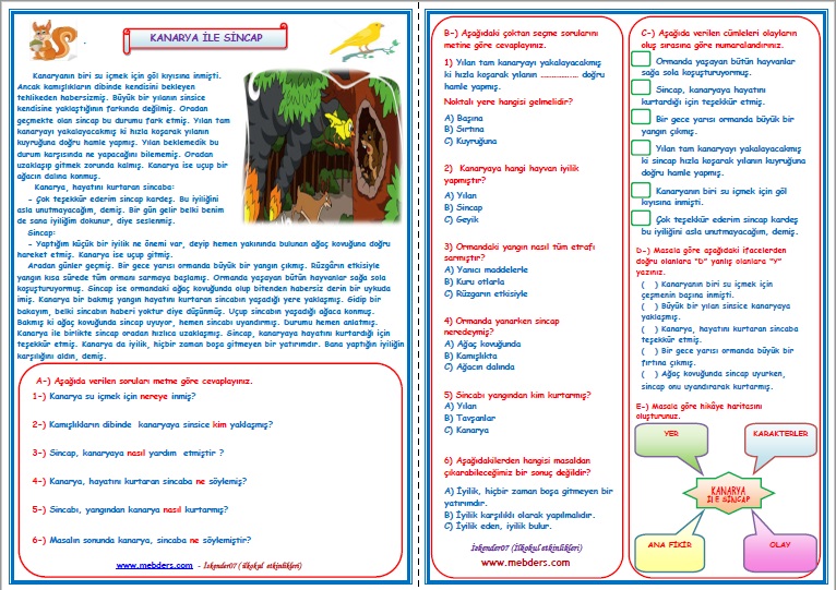 3.Sınıf Türkçe Kanarya ile Sincap Okuma Anlama Metin Çalışması  1