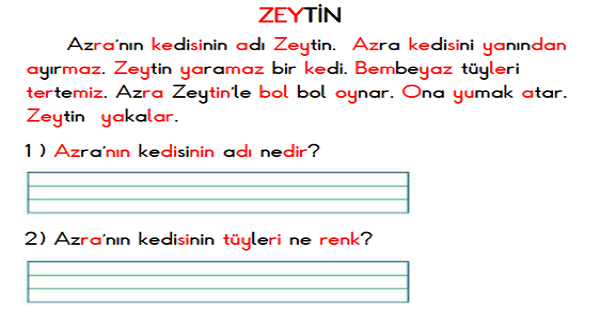 1.Sınıf İlk Okuma Yazma (Z-Z Sesi) Boyama ve Okuma Metni