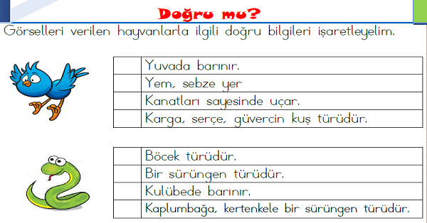 1.Sınıf Türkçe Görselleri Yorumlama Etkinliği-2