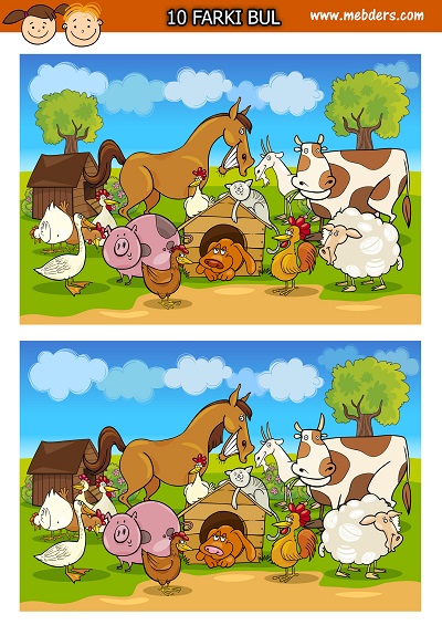Çiftlik hayvanları arasındaki 10 farkı bulma etkinliği