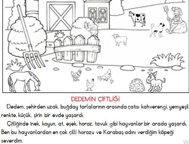 1.Sınıf Okuma ve Anlama (Dedemin Çiftliği) 7