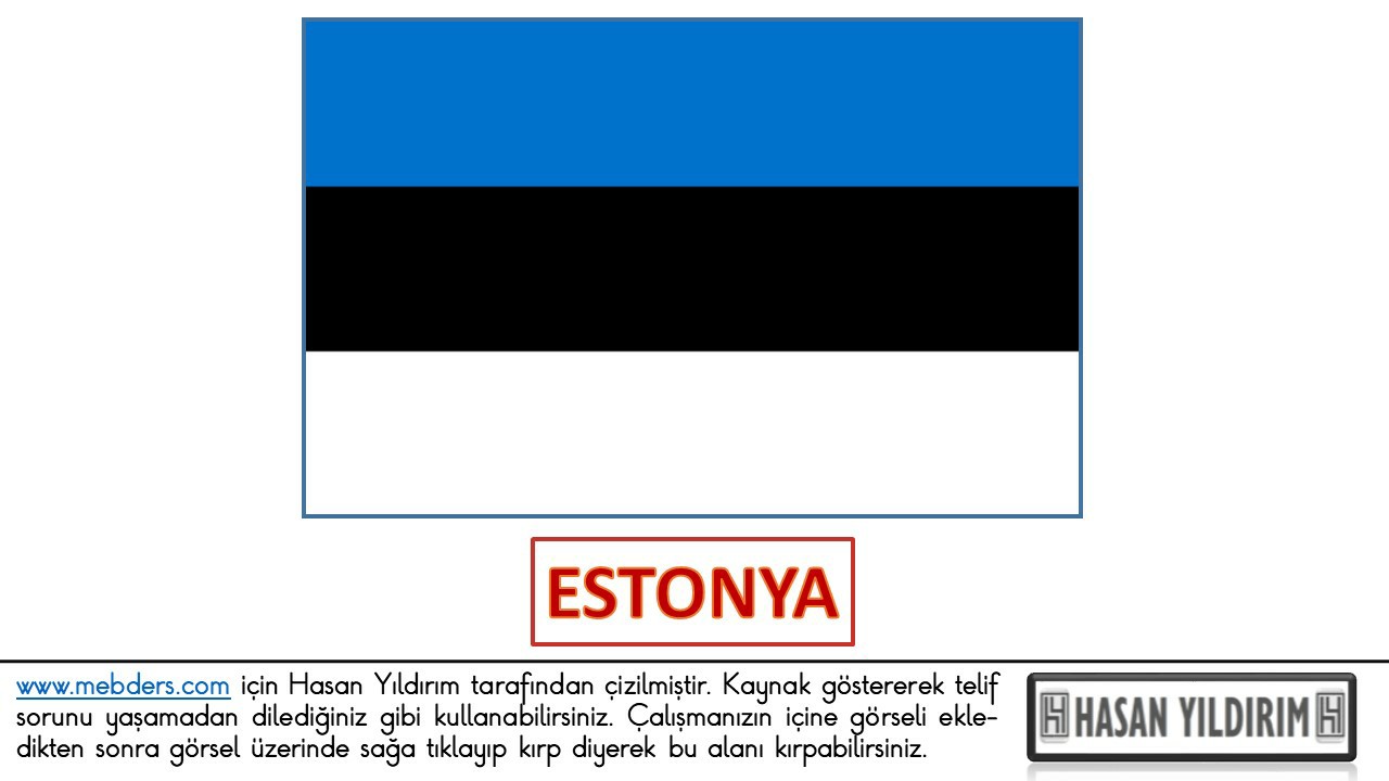 Estonya Bayrağı PNG