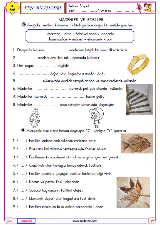 4. Sınıf Fen Bilimleri Madenler ve Fosiller Etkinliği