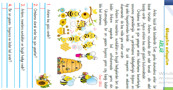 1.Sınıf Türkçe Okuyalım-Anlayalım-Cevaplayalım (Arılar) Metni