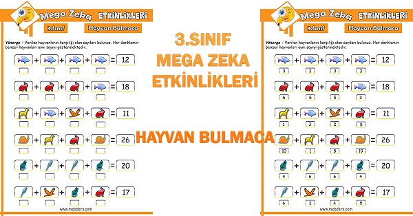 3.Sınıf Mega Zeka Etkinliği - Hayvan Bulmaca