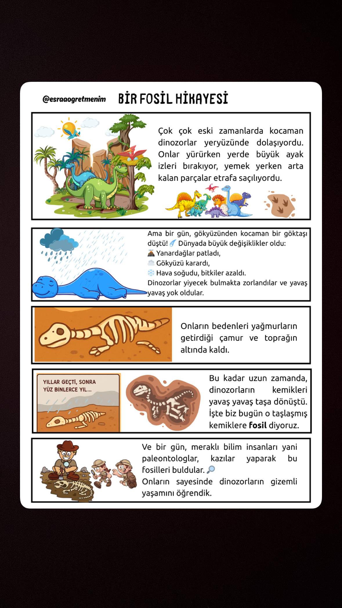 4. Sınıf Fosil Hikaye Çalışması