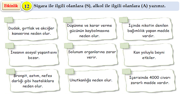 4.Sınıf Fen Bilimleri Sigara ve Alkolün Zararları Etkinliği