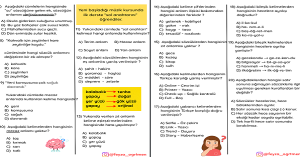 4. Sınıf Türkçe Beş Haftalık Değerlendirme