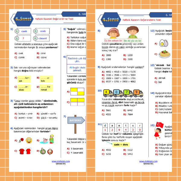 4. Sınıf Haftalık Değerlendirme Testi - 6. Hafta