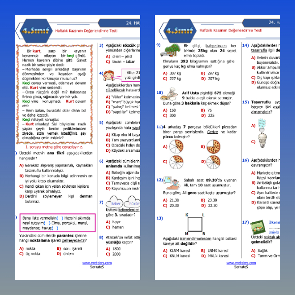 4. Sınıf Haftalık Değerlendirme Testi - 24. Hafta